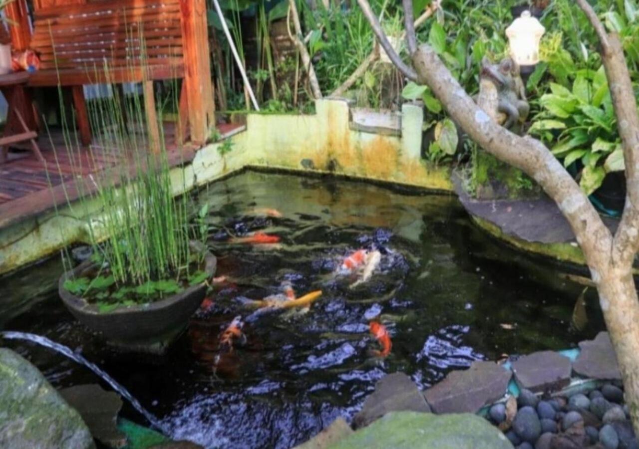 Bujak Permai Villa Matahari Lombok Ntb Praya Exterior foto