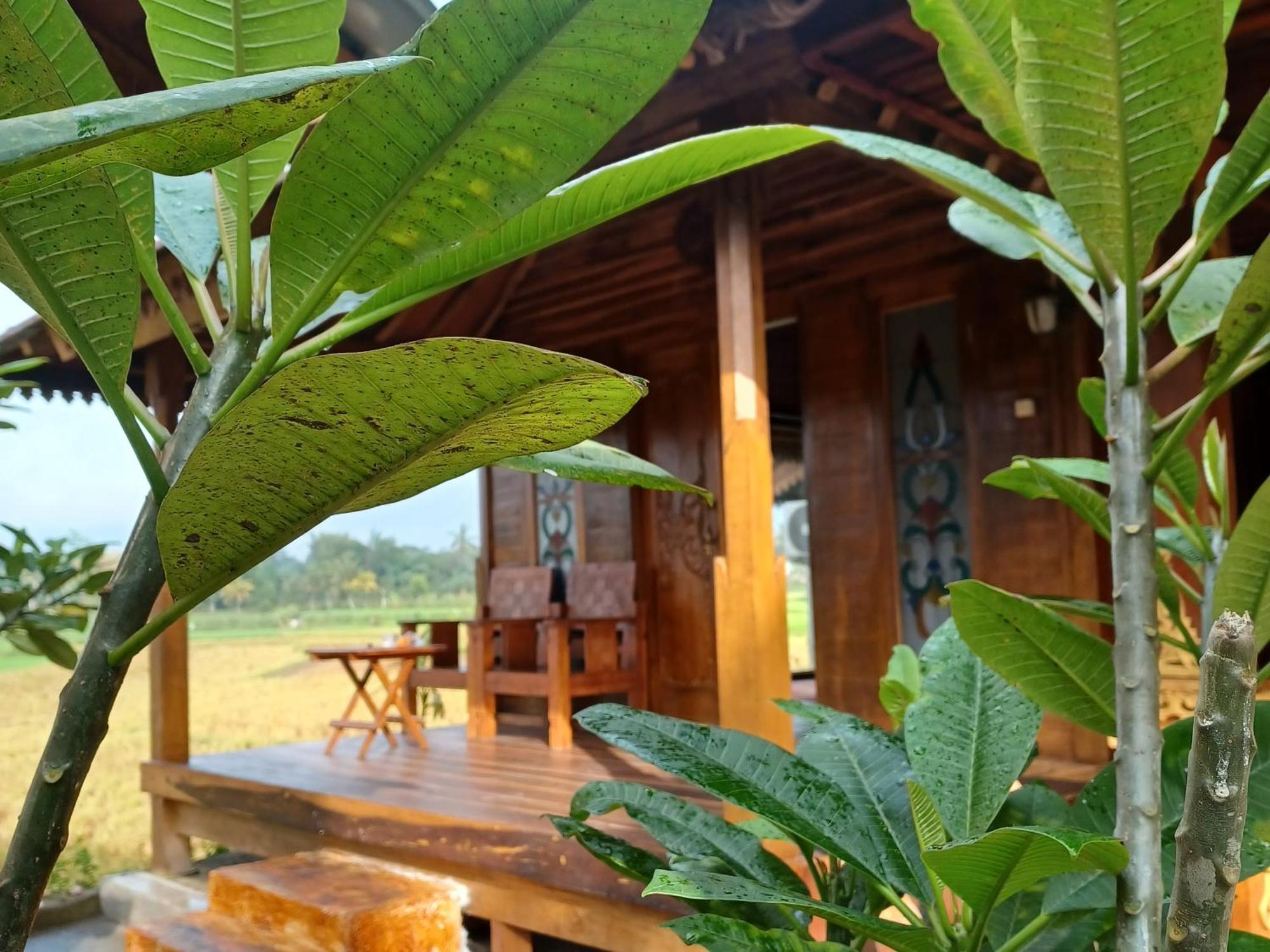 Bujak Permai Villa Matahari Lombok Ntb Praya Exterior foto
